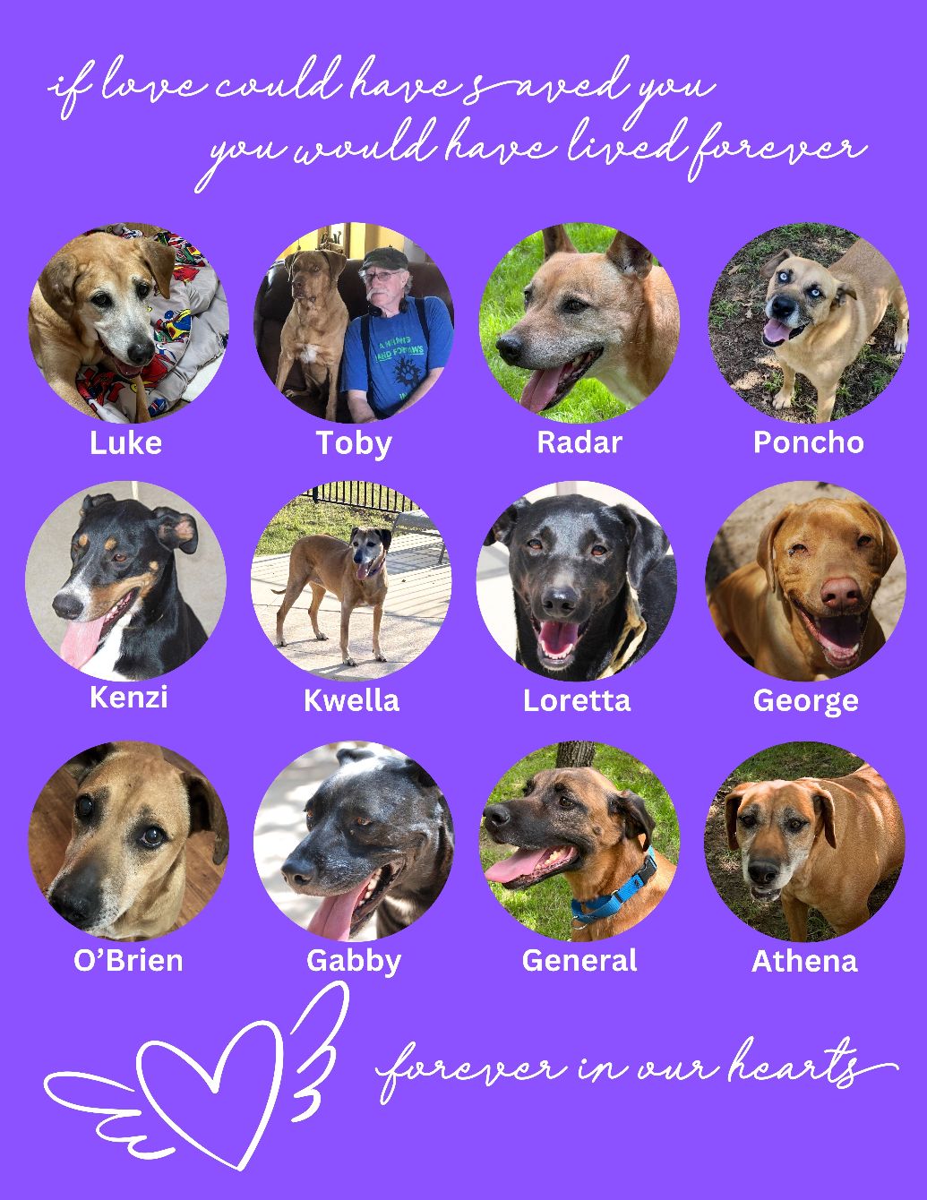 About the Love you forever campaign on Bonfire 2