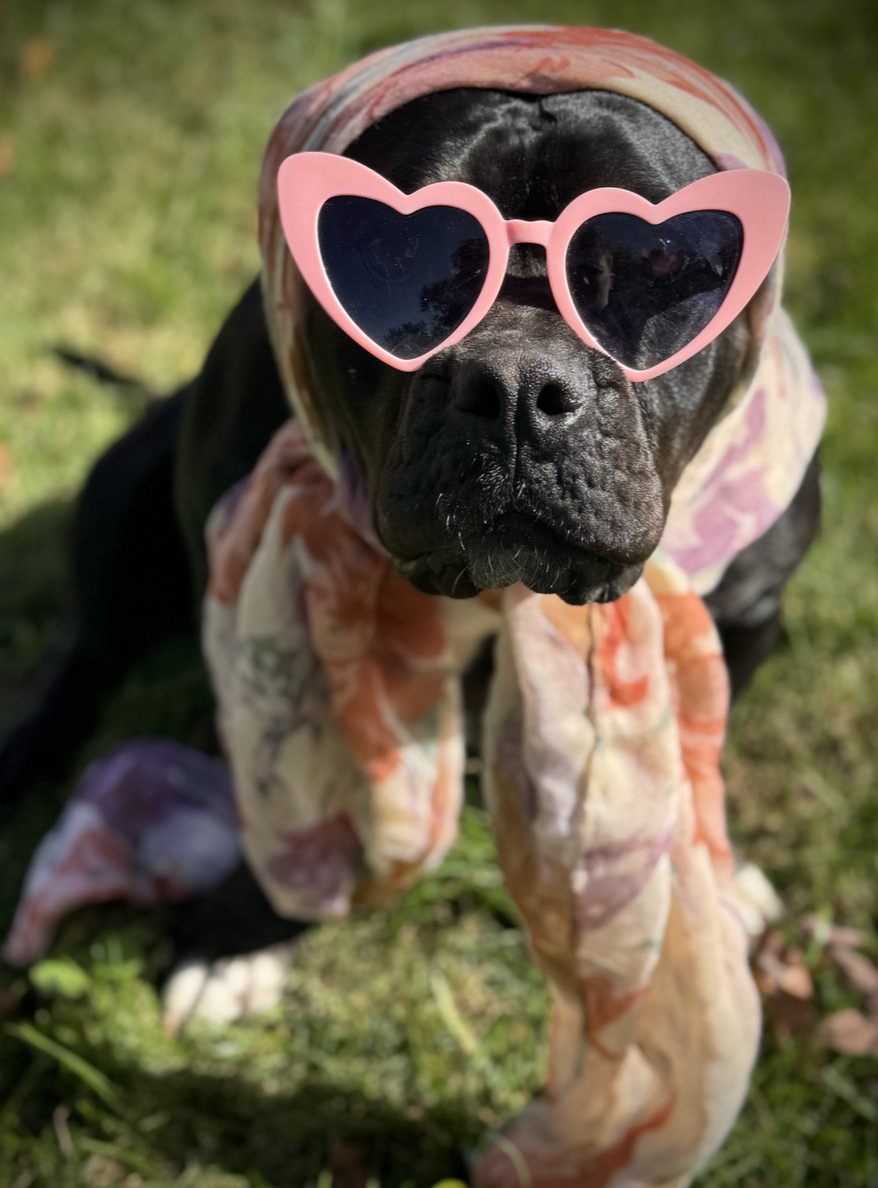 About the Be Sturdy Like Gertie! campaign on Bonfire 9