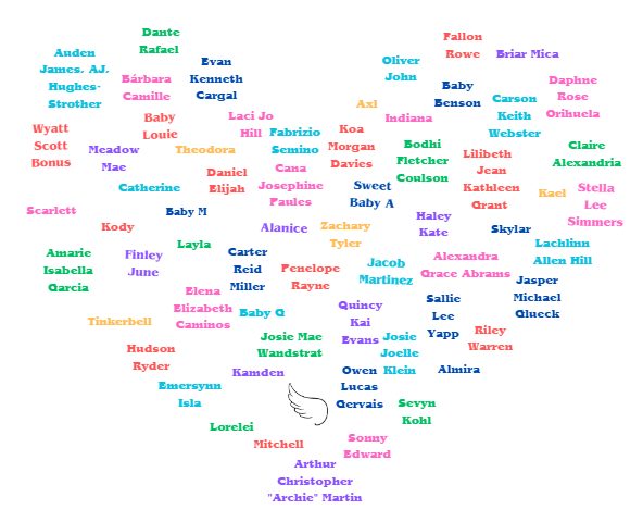 About the Footprints on our Hearts campaign on Bonfire 6