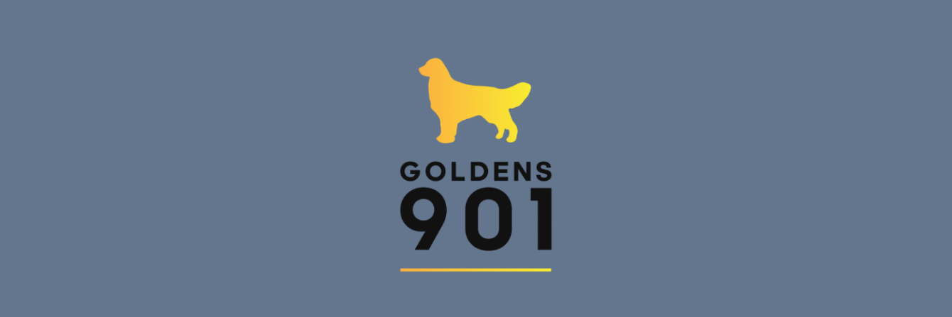 About the Goldens 901 campaign on Bonfire 0
