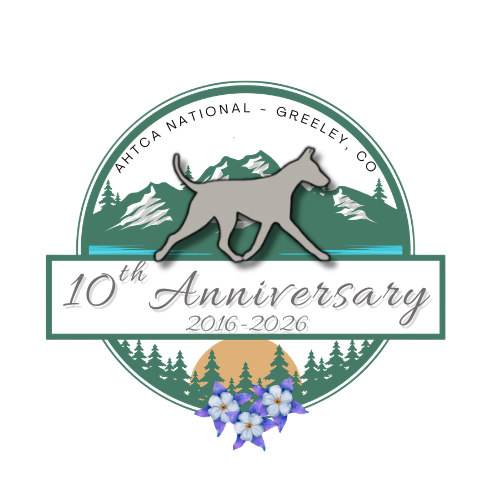 About the 2026 10th Anniversary campaign on Bonfire 2
