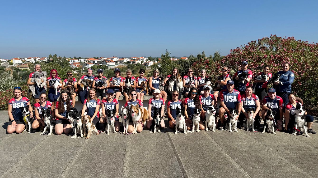 About the European Open Team USA campaign on Bonfire 2