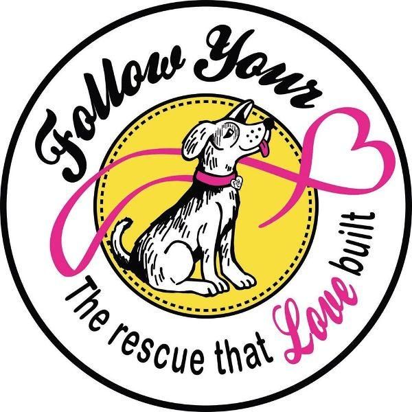 About the Show Me Your Pitties campaign on Bonfire 8