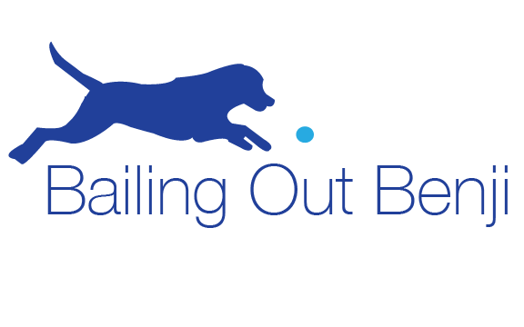 About the Bailing Out Benji campaign on Bonfire 2