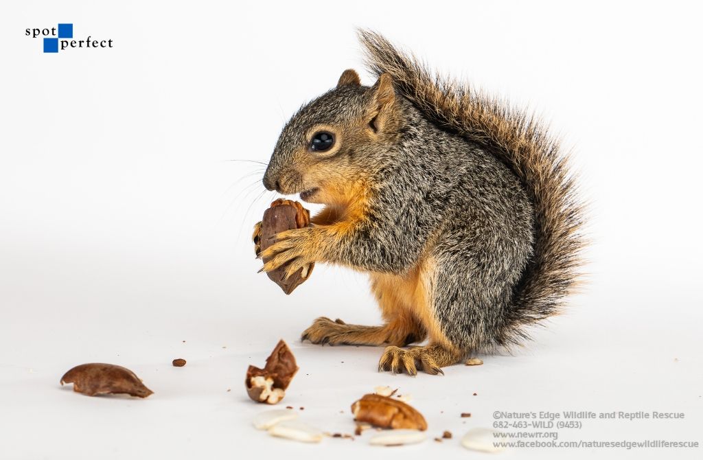 About the  campaign on Bonfire 14