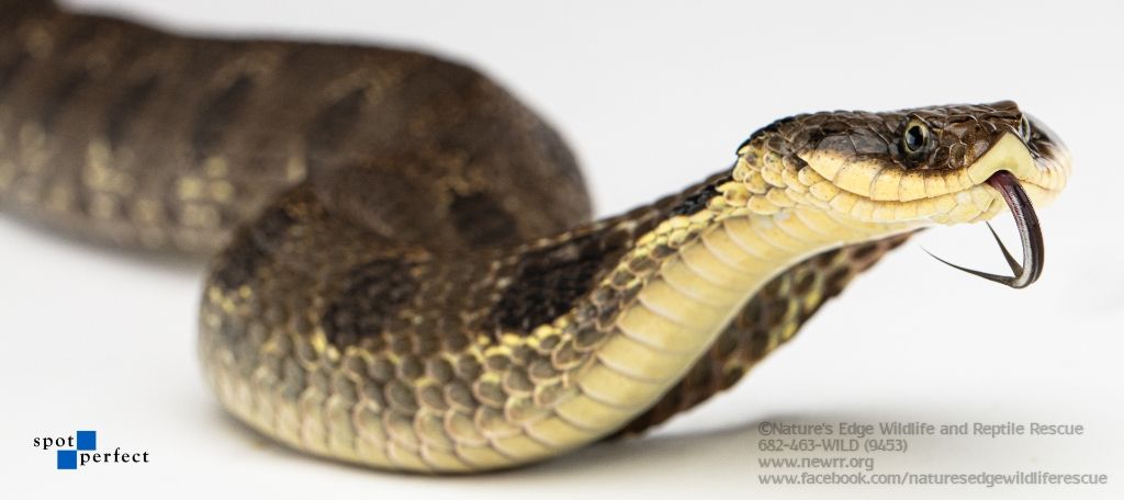 About the  campaign on Bonfire 12