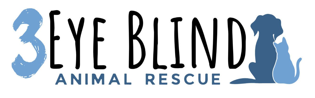 About the 3 Eye Blind Classic Hats campaign on Bonfire 1