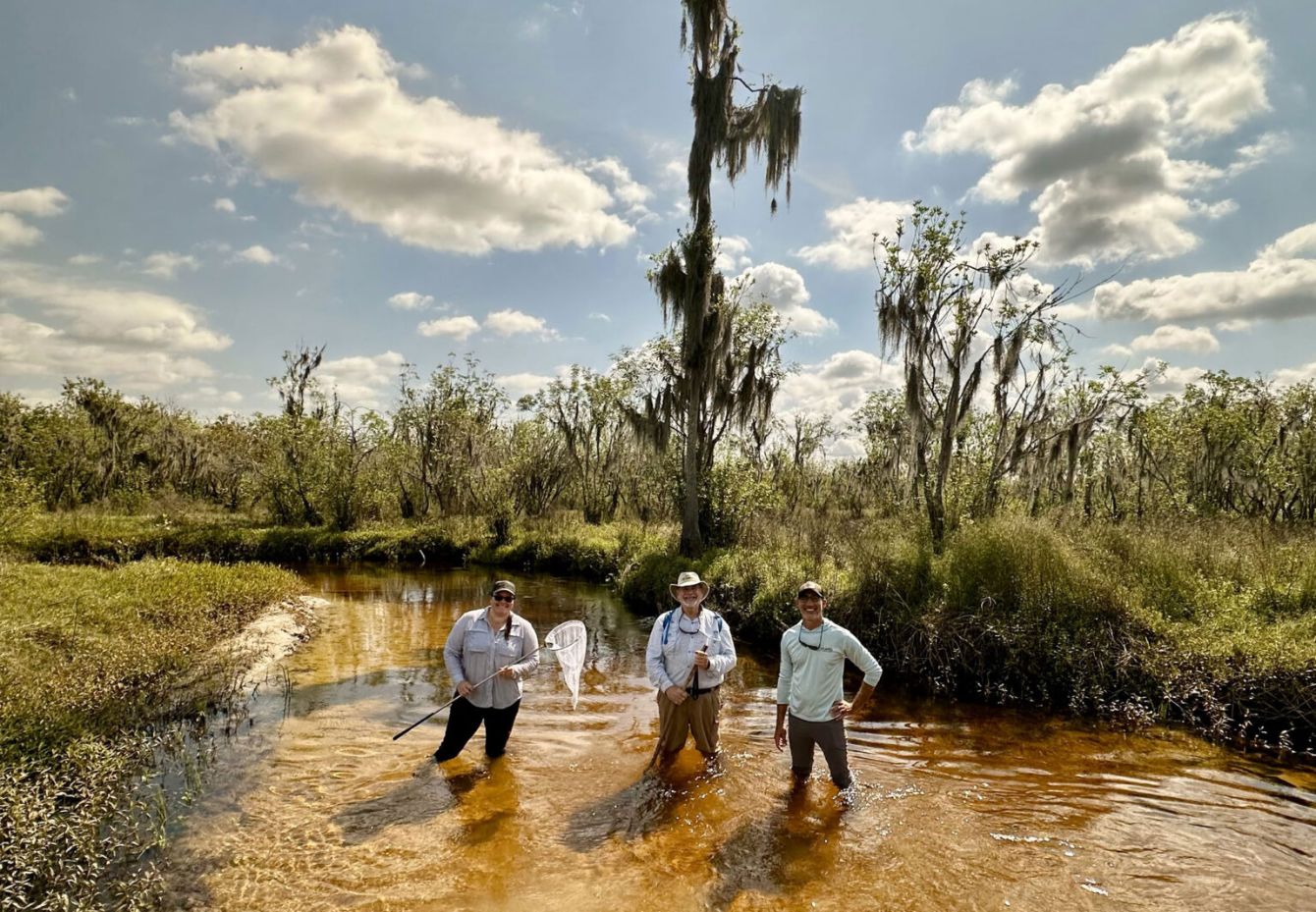 About the  campaign on Bonfire 6