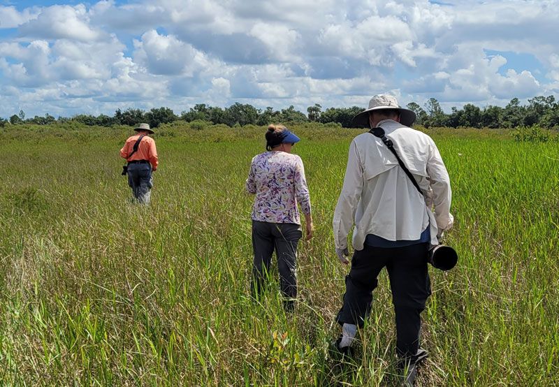 About the  campaign on Bonfire 8