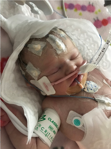 About the We Carry Their Hearts (?) campaign on Bonfire 2