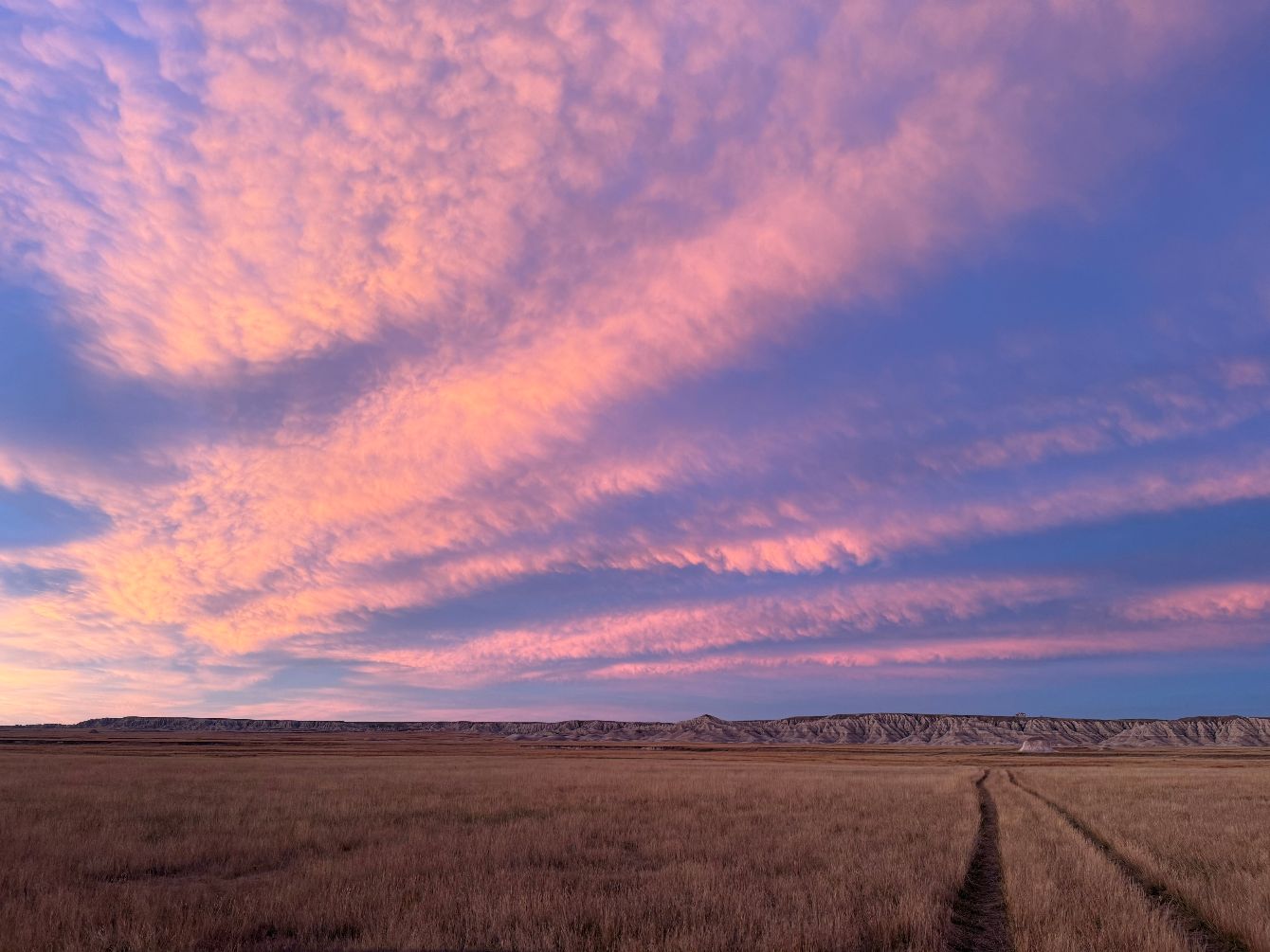 About the Buffalo Gap (Fairburn Agate & Prairie Dog) campaign on Bonfire 4