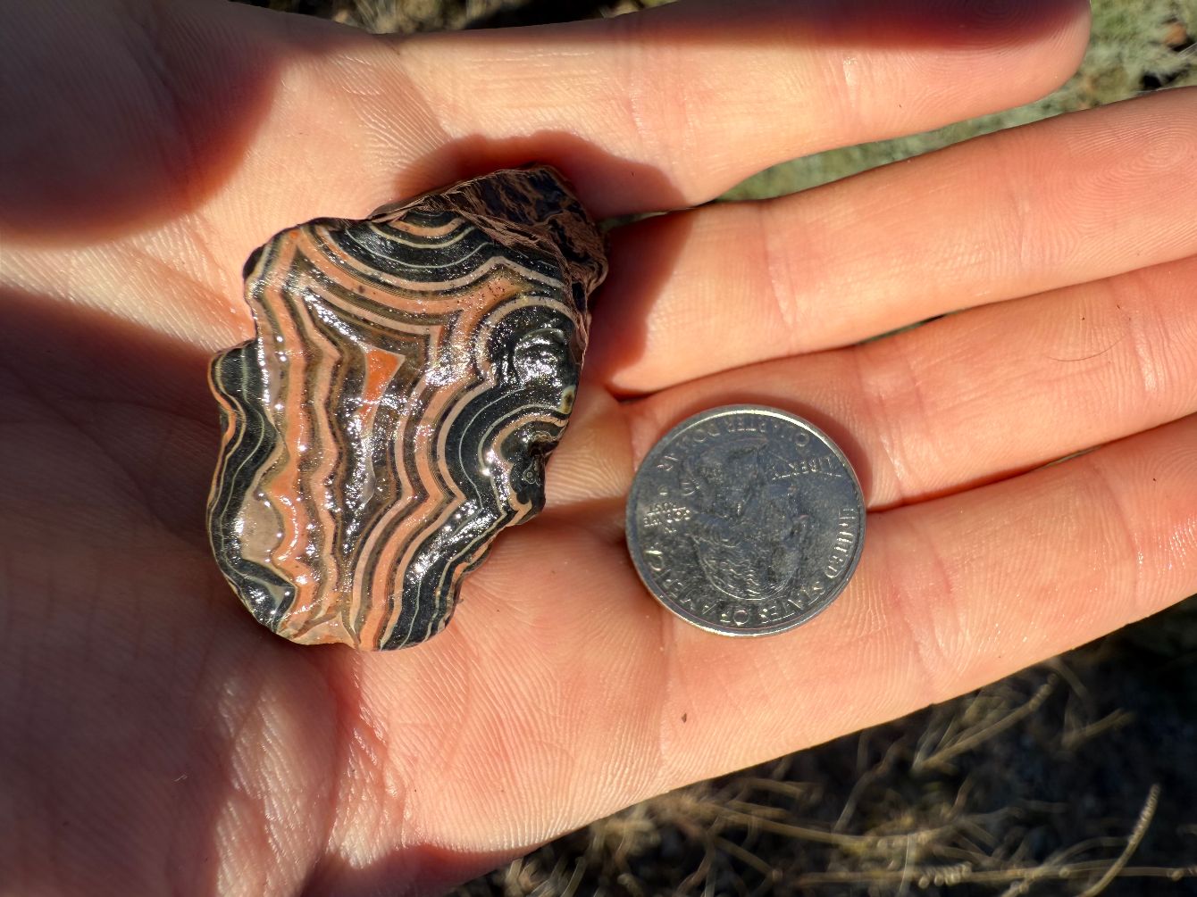 About the Buffalo Gap (Fairburn Agate & Prairie Dog) campaign on Bonfire 2