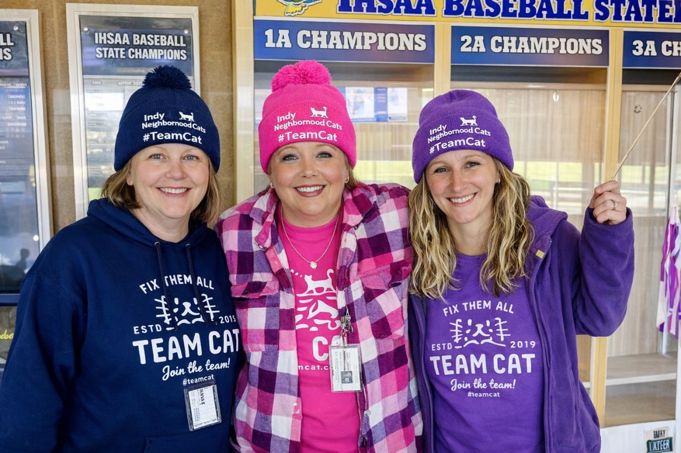 About the Winter Team Cat Beanies campaign on Bonfire 2