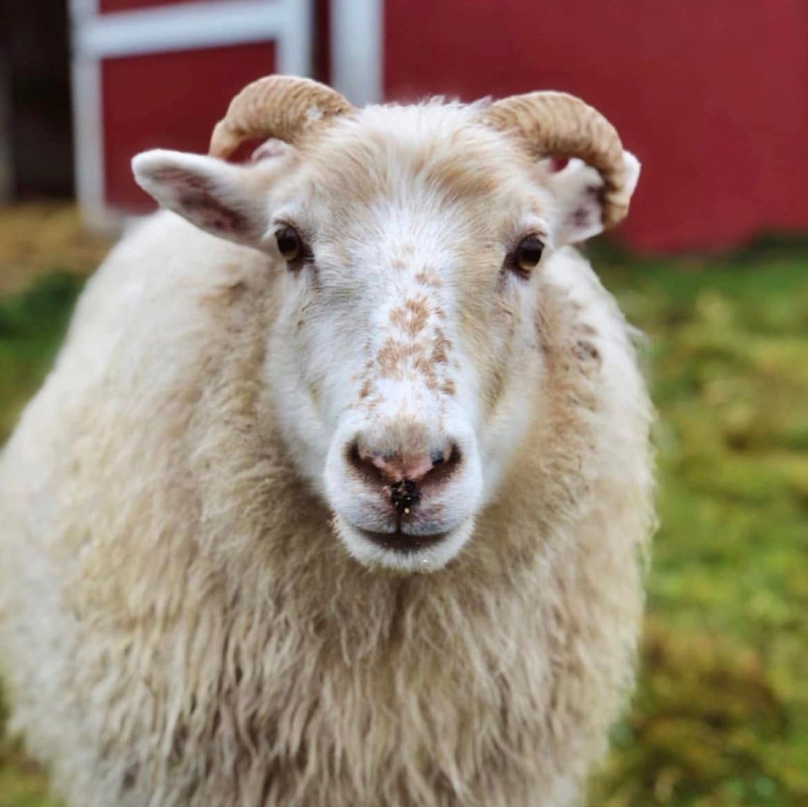 About the 14 years of rescue campaign on Bonfire 5