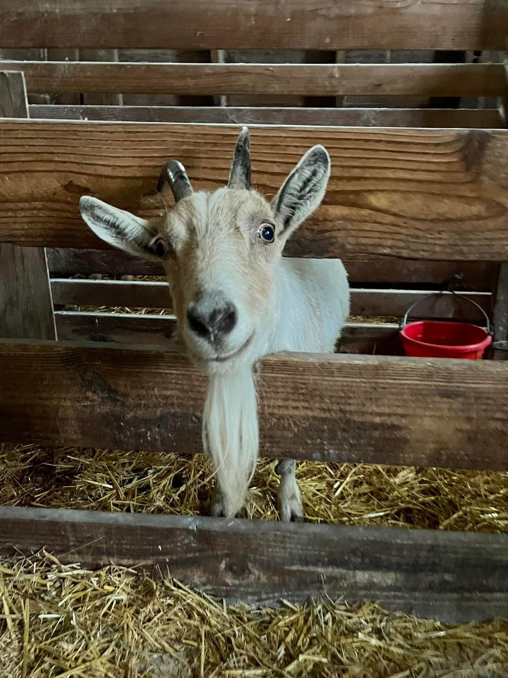 About the 14 years of rescue campaign on Bonfire 6