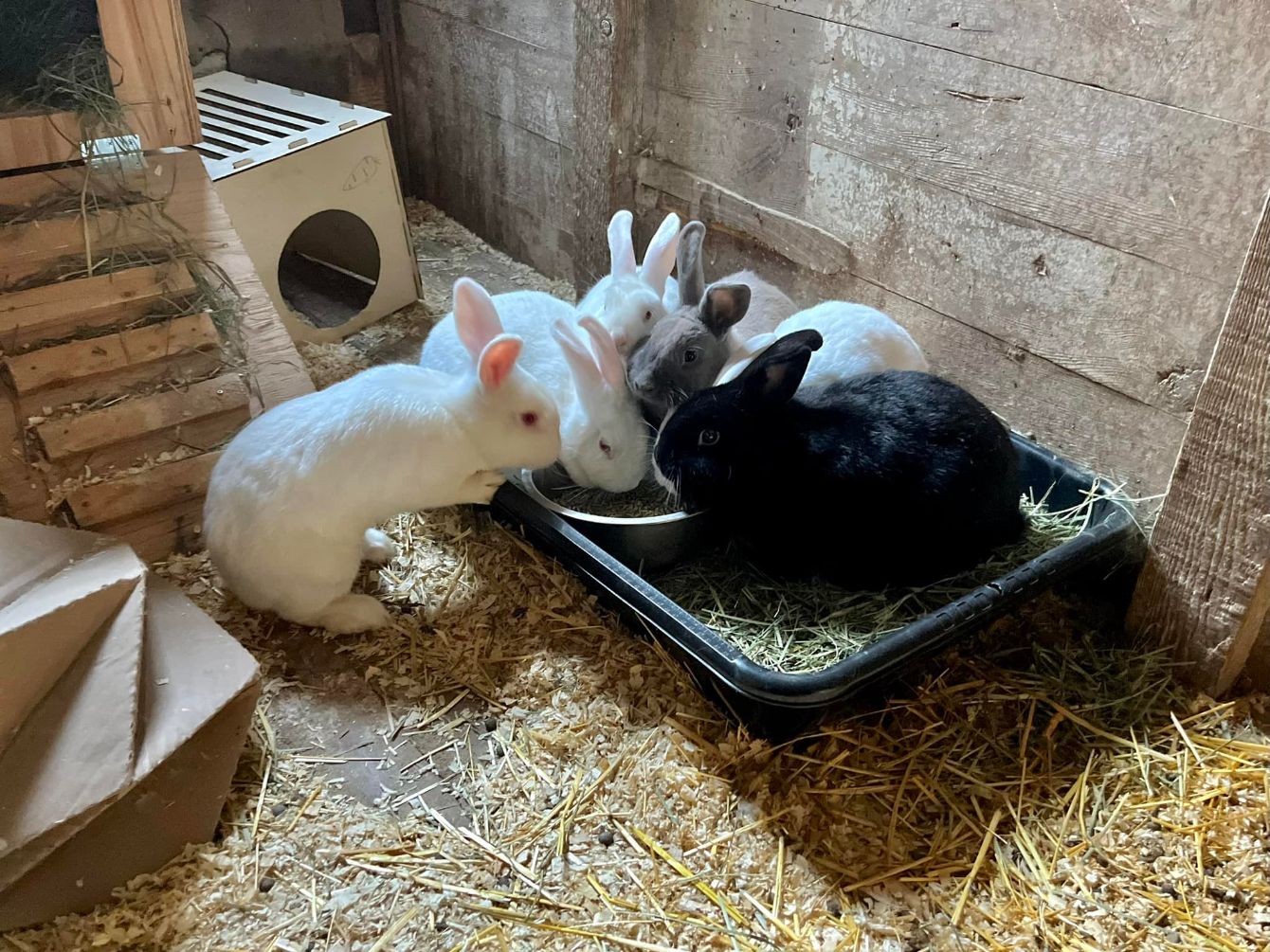 About the 14 years of rescue campaign on Bonfire 3