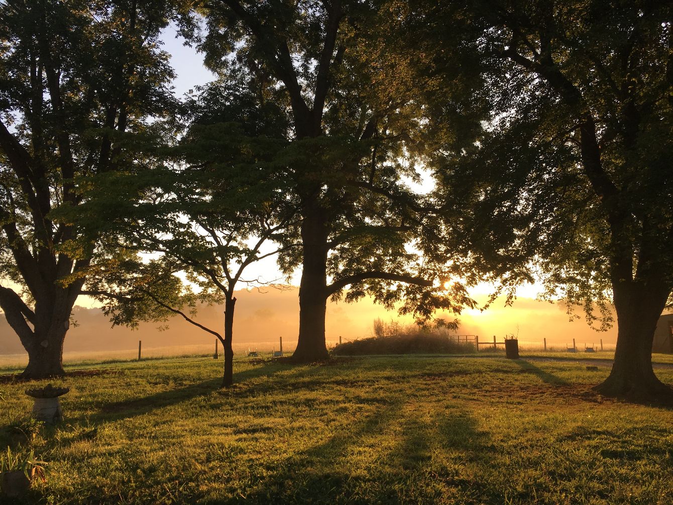 About the Graze Against The Machine Activism campaign on Bonfire 3