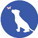 About the Help More Dogs Find the Good Life! campaign on Bonfire 2
