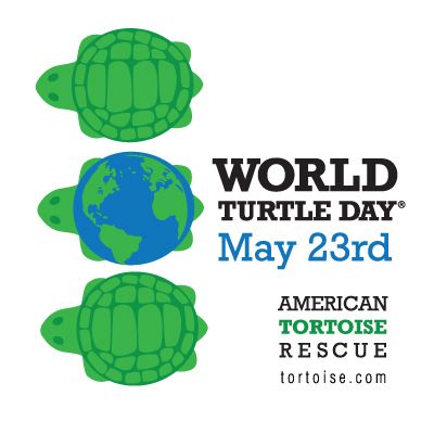 World Turtle Day 21 Bonfire
