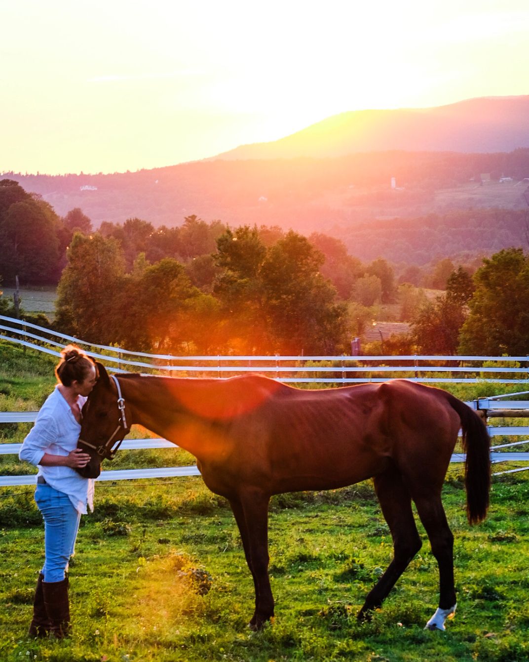 About the  campaign on Bonfire 2