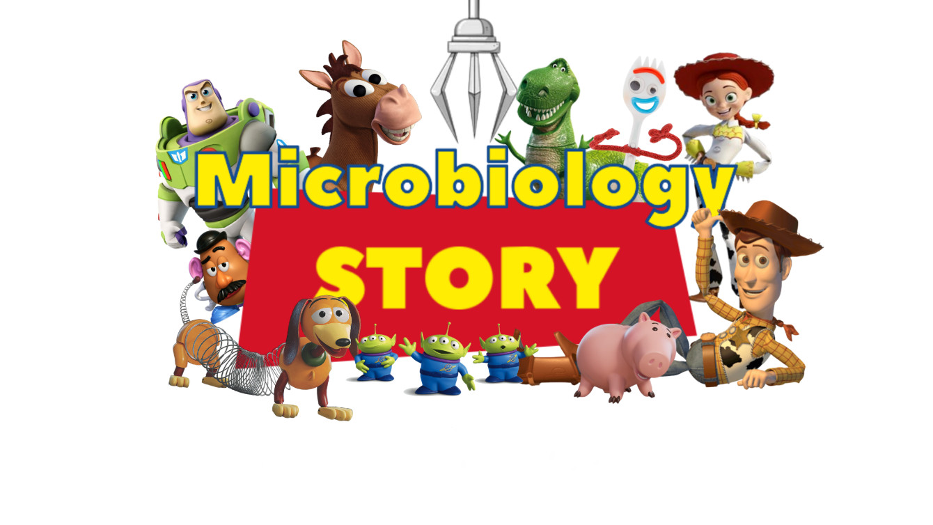 About the Microbiology campaign on Bonfire 2