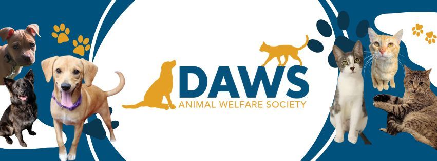 About the Wear and Care for DAWS campaign on Bonfire 2