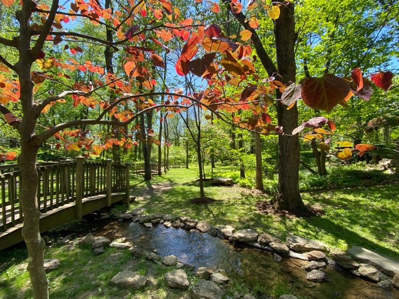 About the Toddler-Look Good & Help Us Grow campaign on Bonfire 2