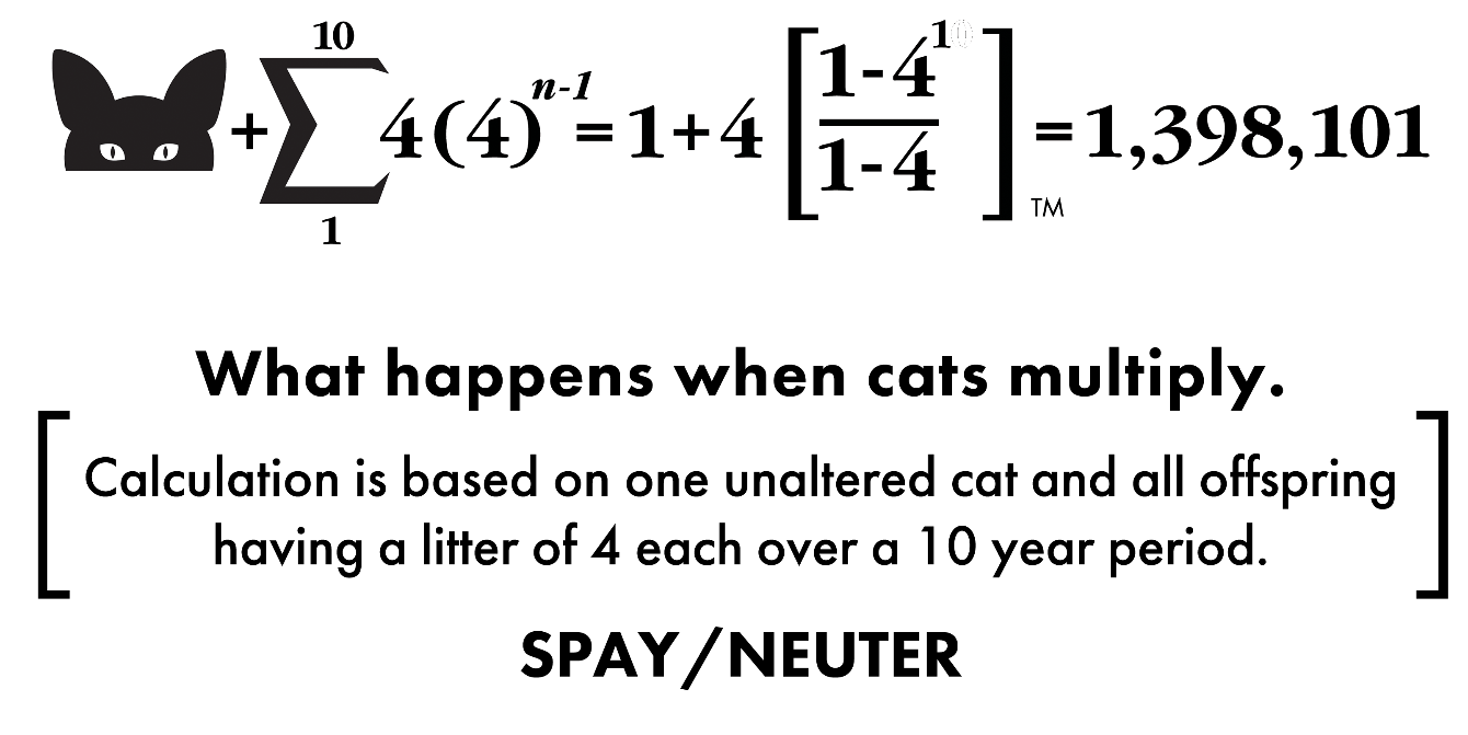About the Feral Cat Equation campaign on Bonfire 2