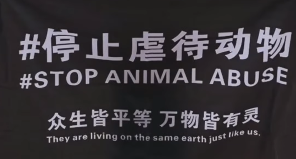 About the WANG WANG campaign on Bonfire 3