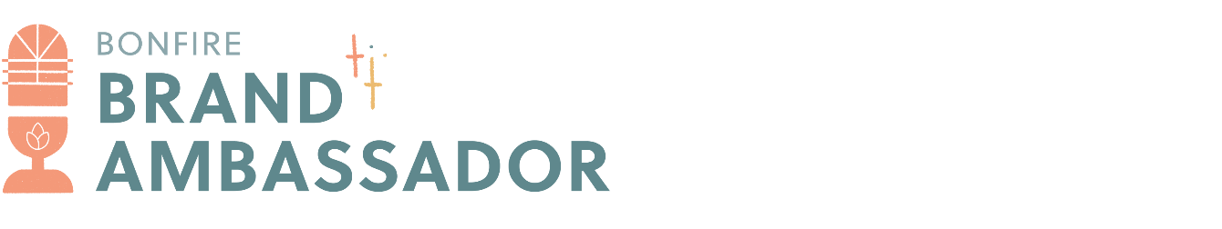 About the  campaign on Bonfire 2