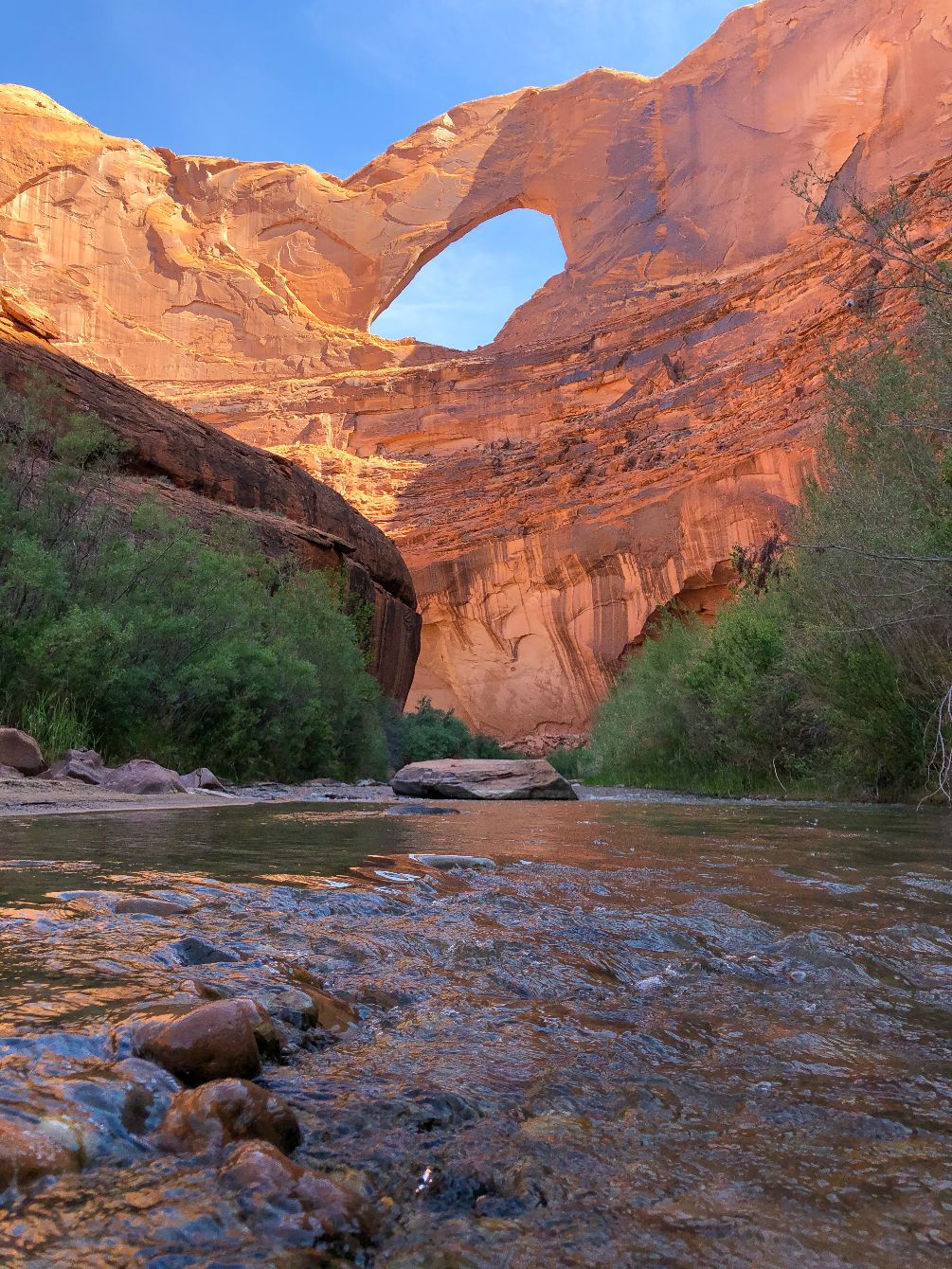 About the Protect the Escalante River campaign on Bonfire 2