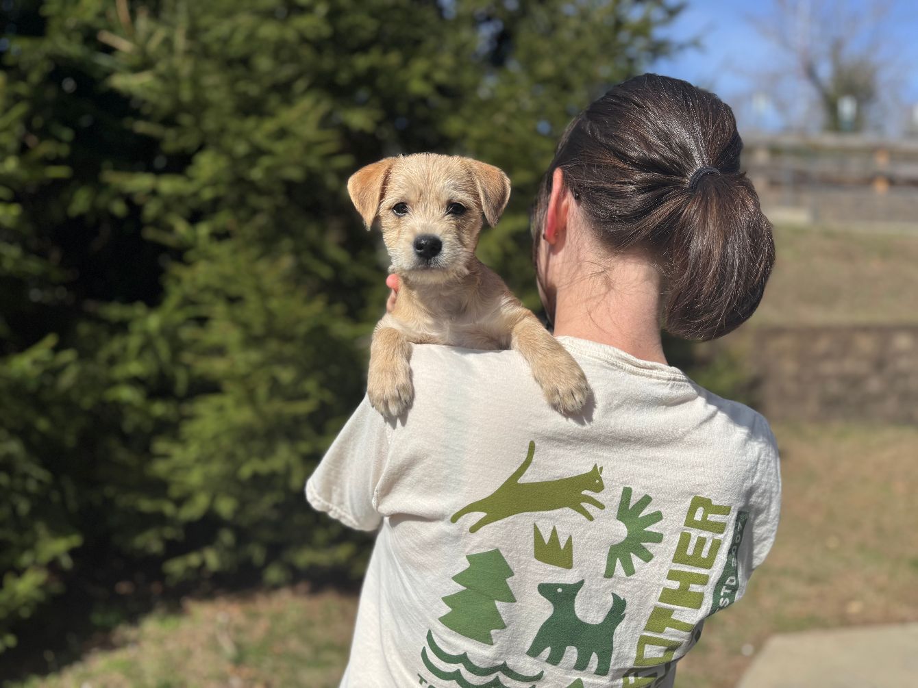 About the Together We Save Lives in Green!&nbsp; campaign on Bonfire 2