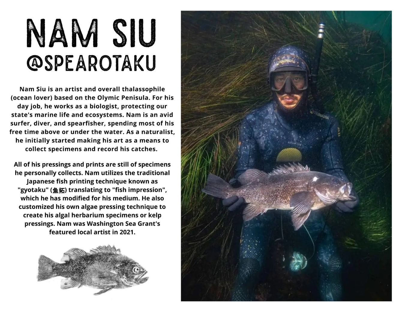 About the  campaign on Bonfire 2