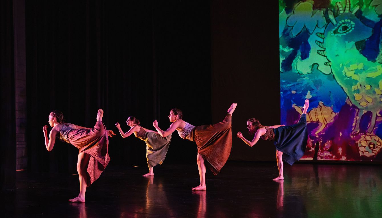 About the Color Wheel Project 2025 (Iris) campaign on Bonfire 2