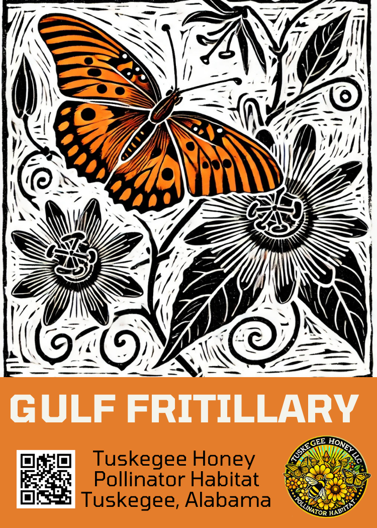 About the  campaign on Bonfire 2