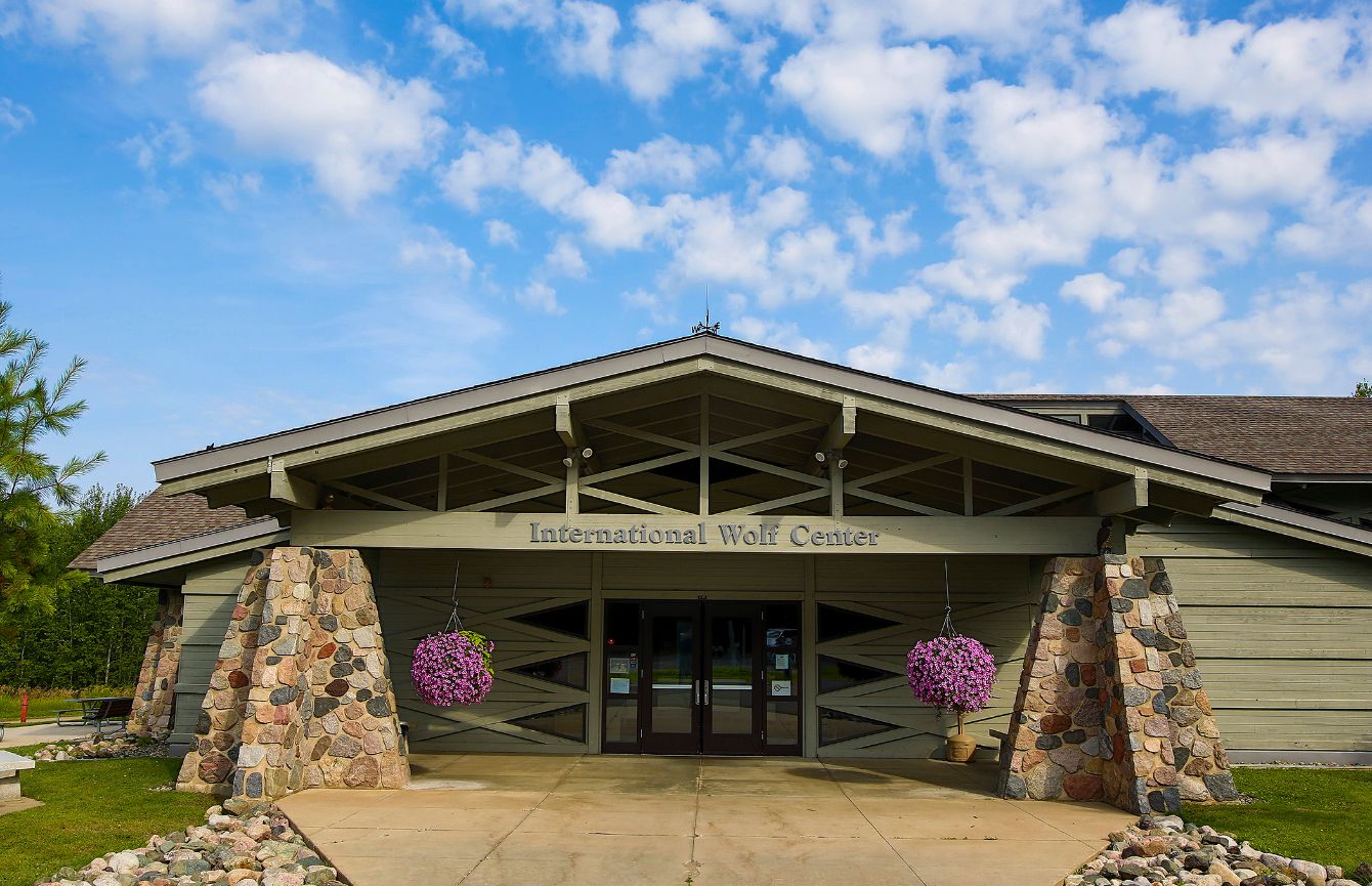 About the Sunset Howl Hoodie campaign on Bonfire 0