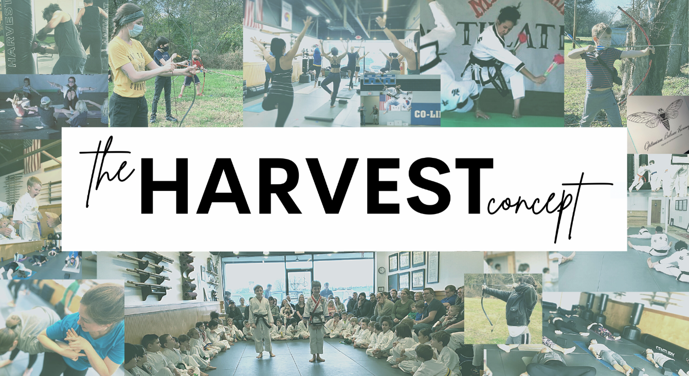 About the  campaign on Bonfire 2