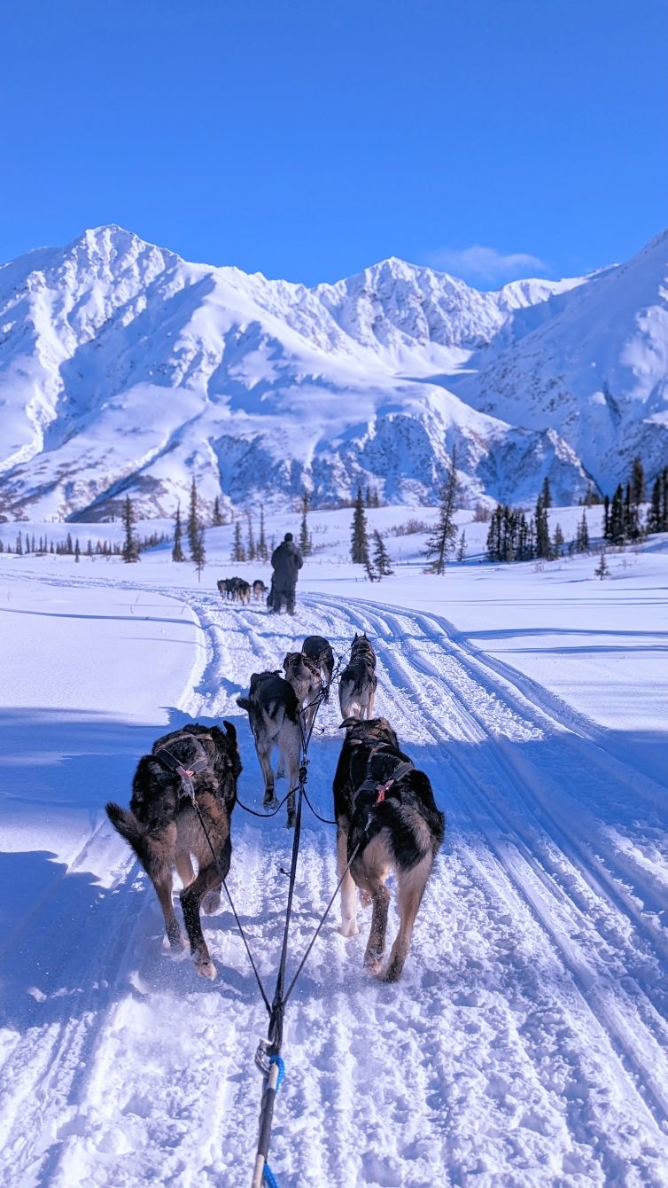 About the Iditarod 2026 Merch campaign on Bonfire 2