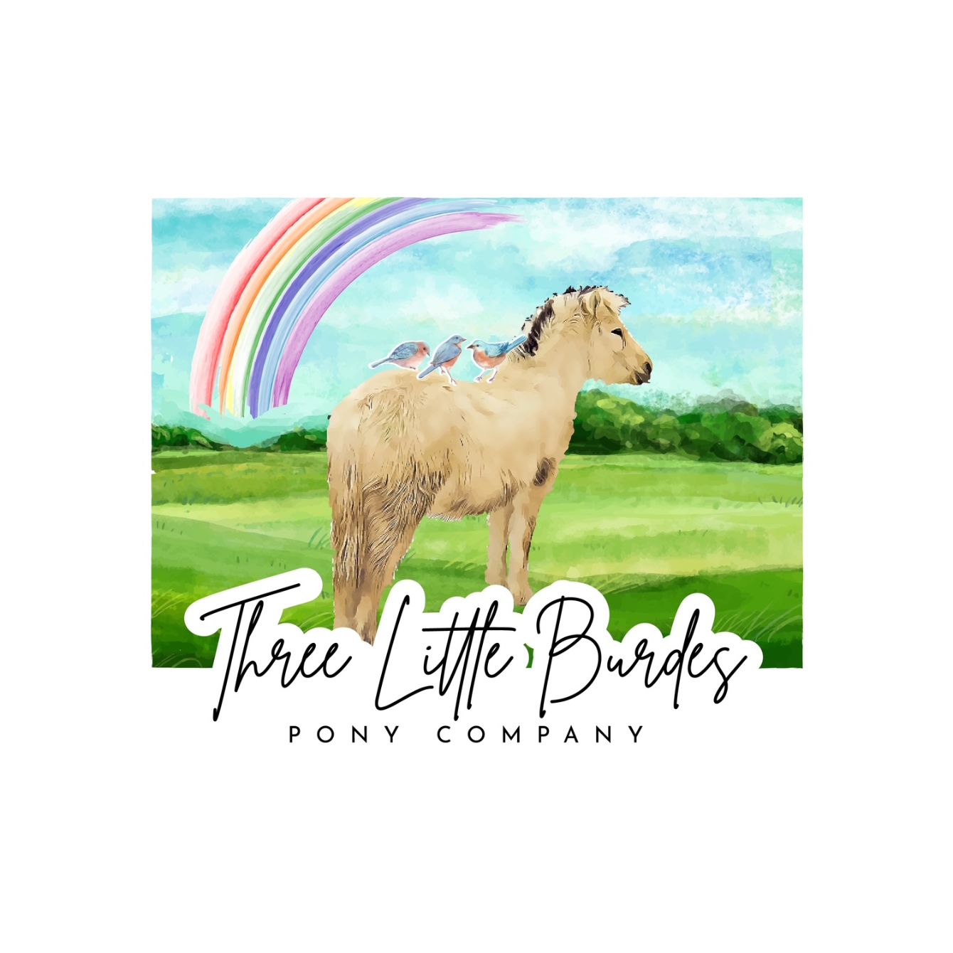 About the Cougaroo Shirt campaign on Bonfire 2