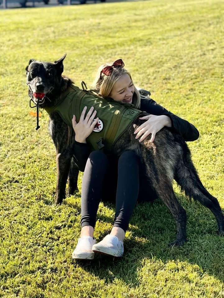 About the  campaign on Bonfire 2