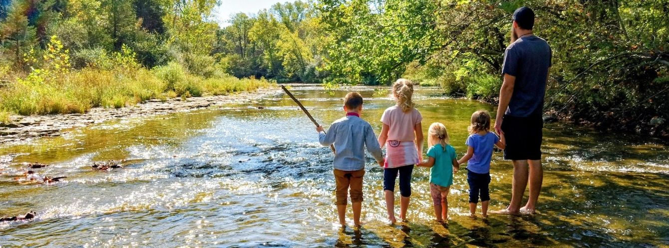 About the  campaign on Bonfire 2