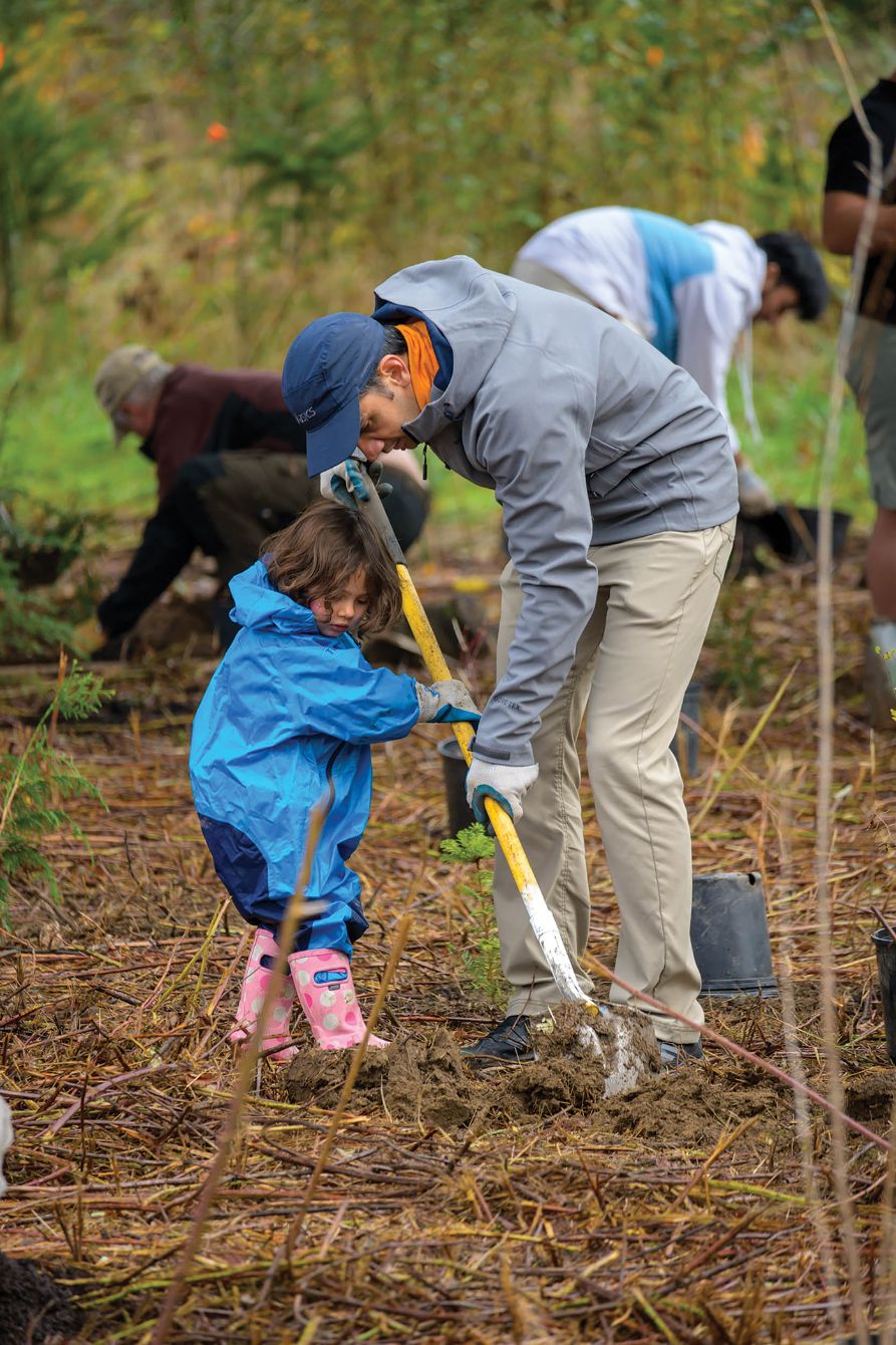 About the More Trees Please campaign on Bonfire 2