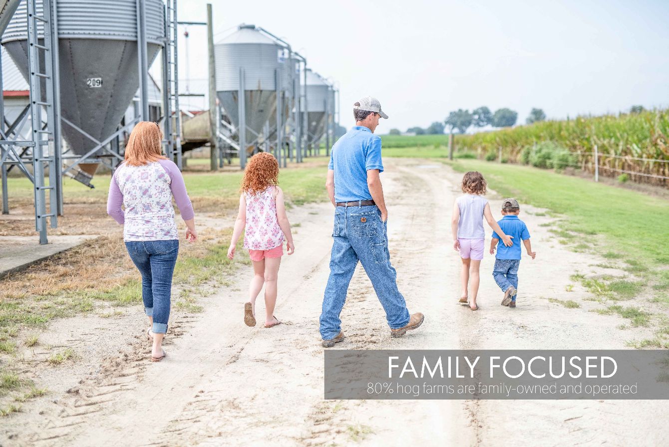 About the Save the Family Farms campaign on Bonfire 3