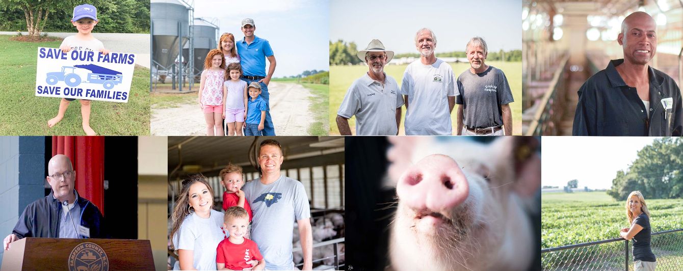 About the Save the Family Farms campaign on Bonfire 1