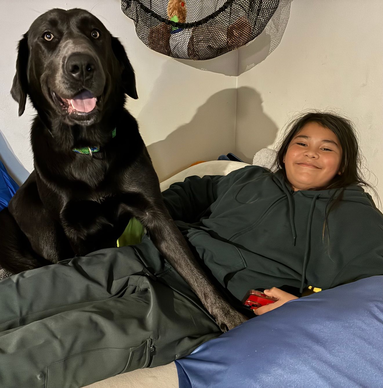 About the Fundraising to keep Bluey campaign on Bonfire 2