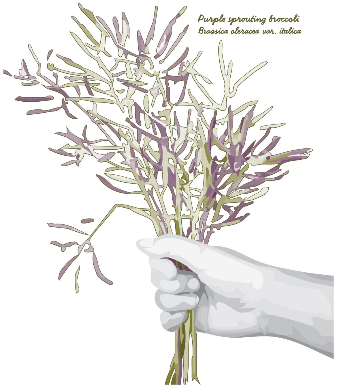 About the  campaign on Bonfire 2