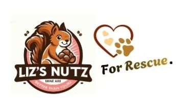 About the FUEL THE MISSION. SAVE A LIFE.&nbsp; campaign on Bonfire 2