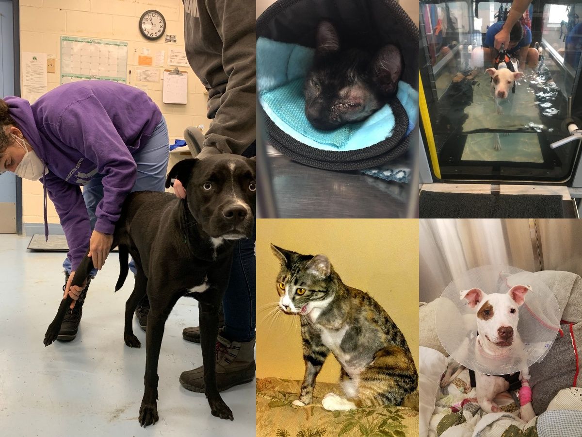 About the APCSM Life Is Precious Campaign campaign on Bonfire 5