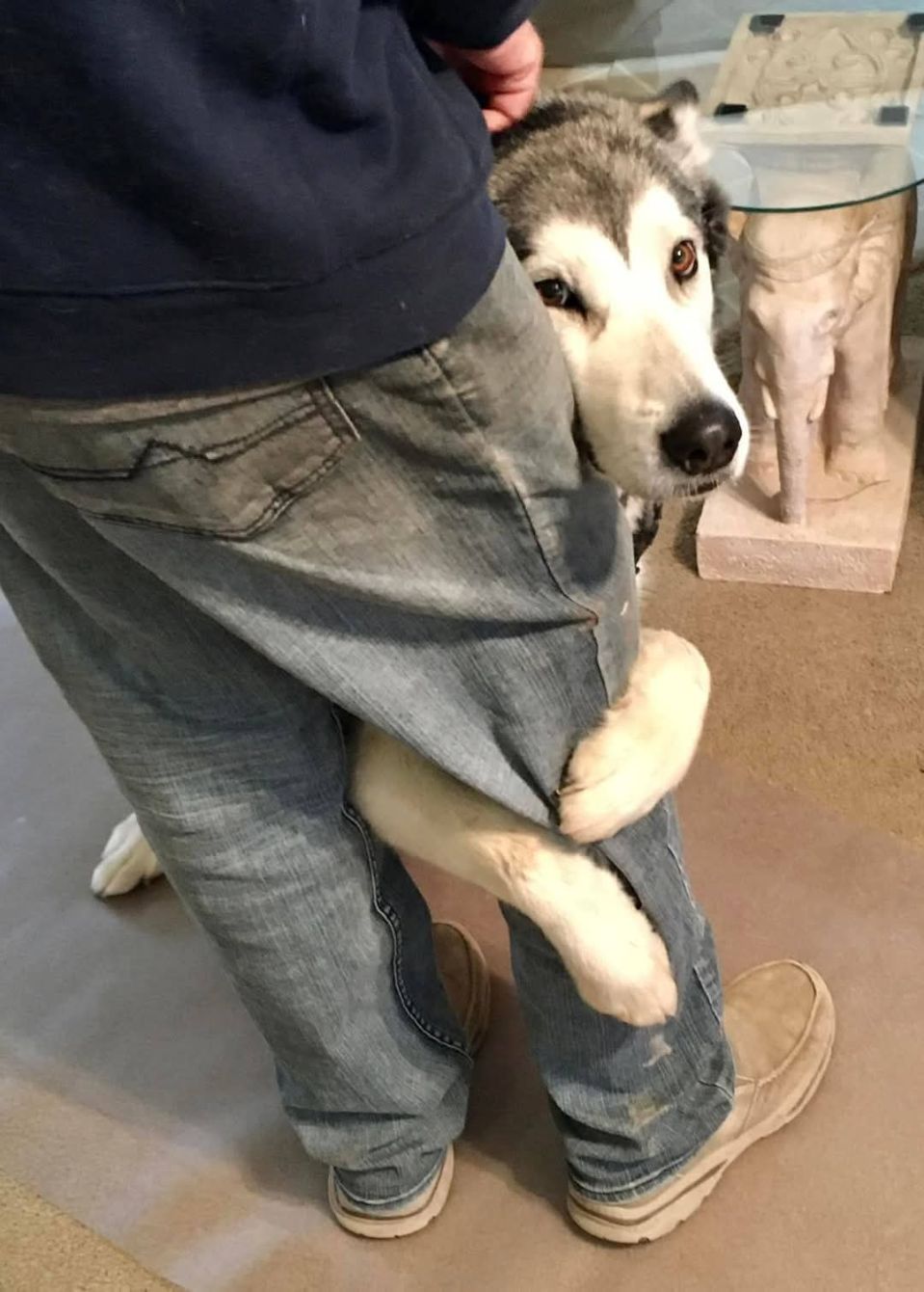 About the Help us to help them campaign on Bonfire 2