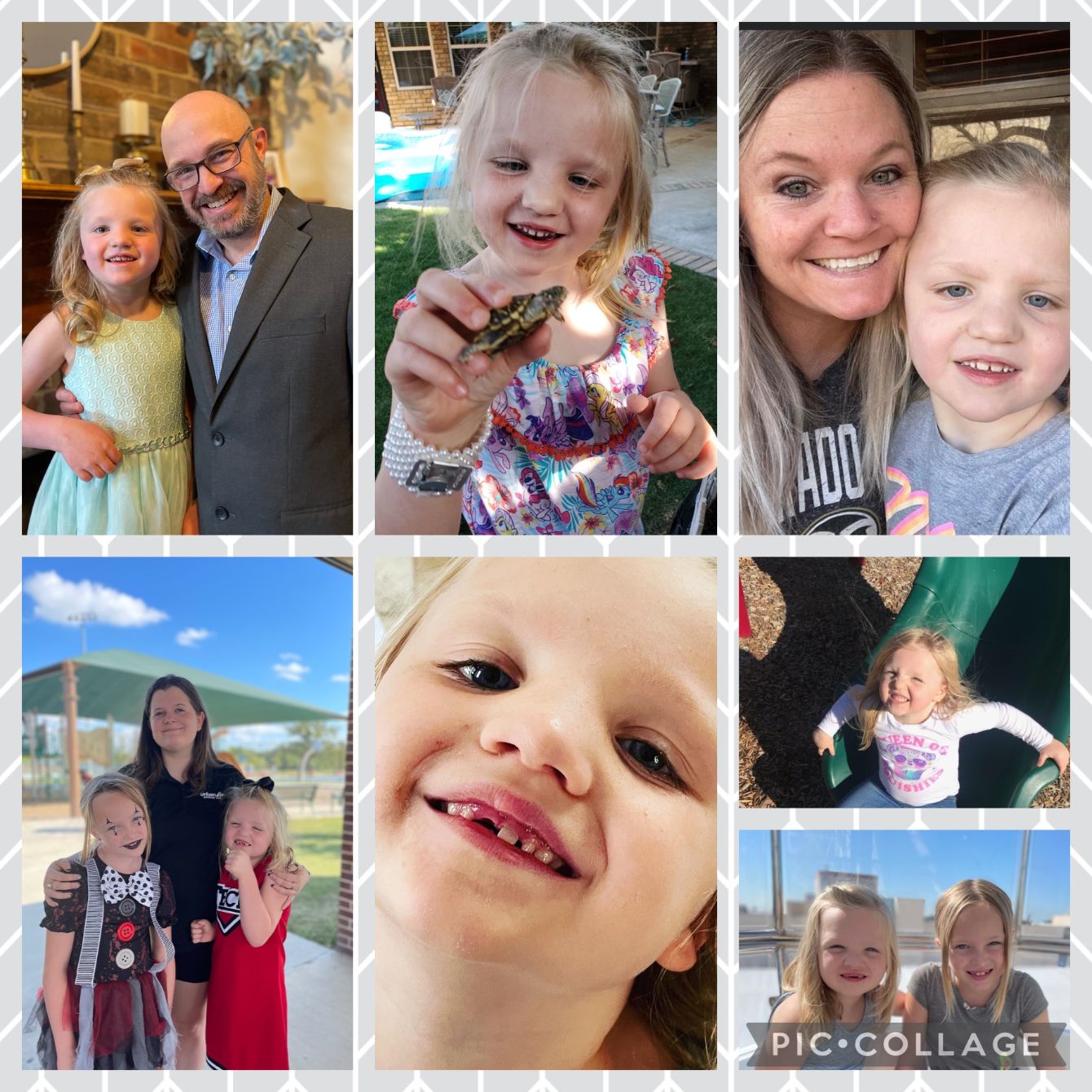 About the Rally for Ryan campaign on Bonfire 2